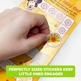 Minnie Mouse 2 Pack Potty Rewards Kit