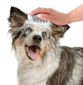 Fresh Pals Palm Grip Massaging Dog Bath Brush