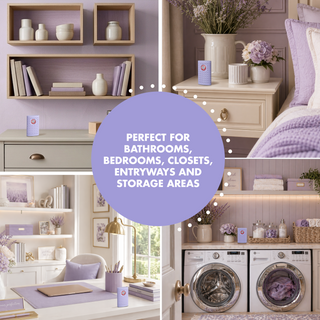 Arm & Hammer OdorBusterz ShelfMATE™, Lavender