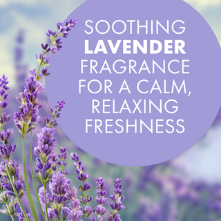 Arm & Hammer OdorBusterz ShelfMATE™, Lavender
