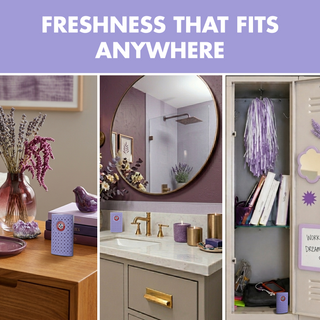 Arm & Hammer OdorBusterz ShelfMATE™, Lavender