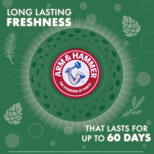 Arm & Hammer Odor Busterz™ Balls, 3 Odor Balls Forest Pine