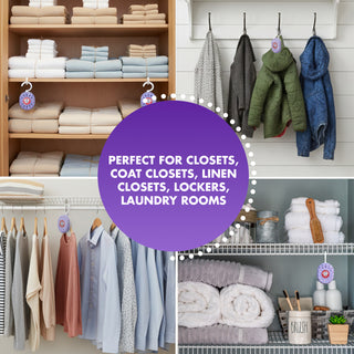 Arm & Hammer OdorBusterz ClosetMATE™, Lavender, 4 Count