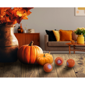 Arm & Hammer Odor Busterz™ Balls, 3 Odor Balls Pumpkin Cream