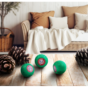 Arm & Hammer Odor Busterz™ Balls, 3 Odor Balls Forest Pine