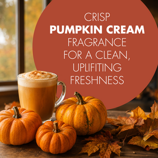 Arm & Hammer OdorBusterz Pumpkin ShapeMATE™, Pumpkin Cream Scent, 4 Count