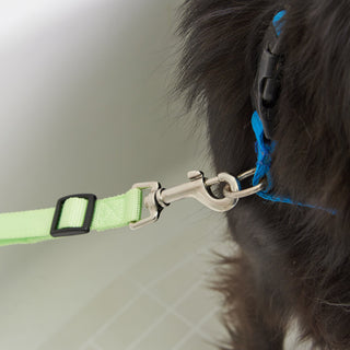 Fresh Pals Safe & Secure Pet Bathing Tethers