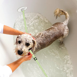 Fresh Pals Safe & Secure Pet Bathing Tethers