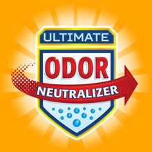 Load image into Gallery viewer, Arm &amp; Hammer™ Odor Neutralizing 20 Pocket Shoe Organizer