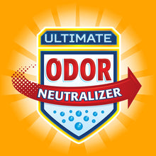 Load image into Gallery viewer, Arm &amp; Hammer™ Odor Neutralizing Two-Compartment Hamper