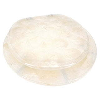 Home+Solutions Deluxe Resin Oyster Shell Decorative Round Toilet Seat with Slow Close Chrome Hinges