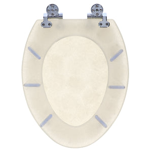 Home+Solutions Deluxe Resin Oyster Shell Decorative Elongated Toilet Seat with Slow Close Chrome Hinges