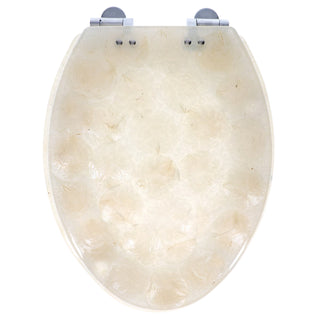 Home+Solutions Deluxe Resin Oyster Shell Decorative Elongated Toilet Seat with Slow Close Chrome Hinges