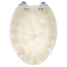 Load image into Gallery viewer, Home+Solutions Deluxe Resin Oyster Shell Decorative Elongated Toilet Seat with Slow Close Chrome Hinges