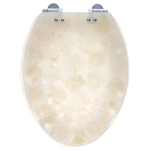 Home+Solutions Deluxe Resin Oyster Shell Decorative Elongated Toilet Seat with Slow Close Chrome Hinges