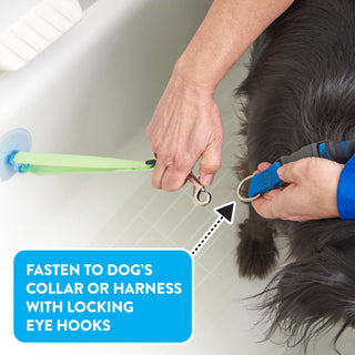 Fresh Pals Safe & Secure Pet Bathing Tethers