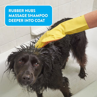 Fresh Pals Shampoo Mitt